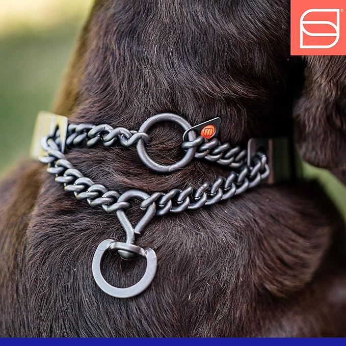 Herm. Sprenger NeckTech Fun Dog Training Collar with Quick Release Snap and Swivel, Anti Pull Collar, Stainless Steel Black (23" Neck Size; 25" Chain Length)