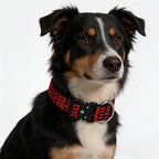 Heavy Duty Dog Collar with Unique Leopard Totem Design Adjustable Durable Nylon Collar, Metal Buckle for Large Dogs Bold Style for Training & Outdoor Adventures (Totem L)