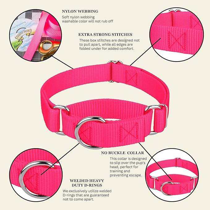 Country Brook Petz - Martingale Dog Collar - Heavy-Duty Training Collar with No Buckle - Service Dog Collar for All Pups - 10+ Warm Colors (Hot Pink, 5/8 Inch, Extra Small)
