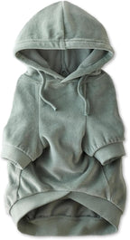 Cooper II Organic Cotton Velour Dog Hoodie Pet Coat for Small, Medium and Large Dogs, Sage, X-Small (5-12 lbs)