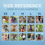 Best Pet Supplies Voyager Adjustable Step-in Flex Breathable Mesh Dog Harness for Small Medium Large Dogs Leash Set (Pink), XL