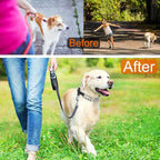 Pinch Collar for Dogs Adjustable Dog Training Collar with Comfortable Rubber Tip and Quick Release Buckle for Small Medium Large Dogs (Large, Black)