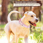 Martingale Collar for Dogs - Pink Daisy Reflective Nylon, No Slip Choke Heavy Duty Collar with Quick Release Buckle & Padded Comfort - Safe Fit for Training & Walking Large