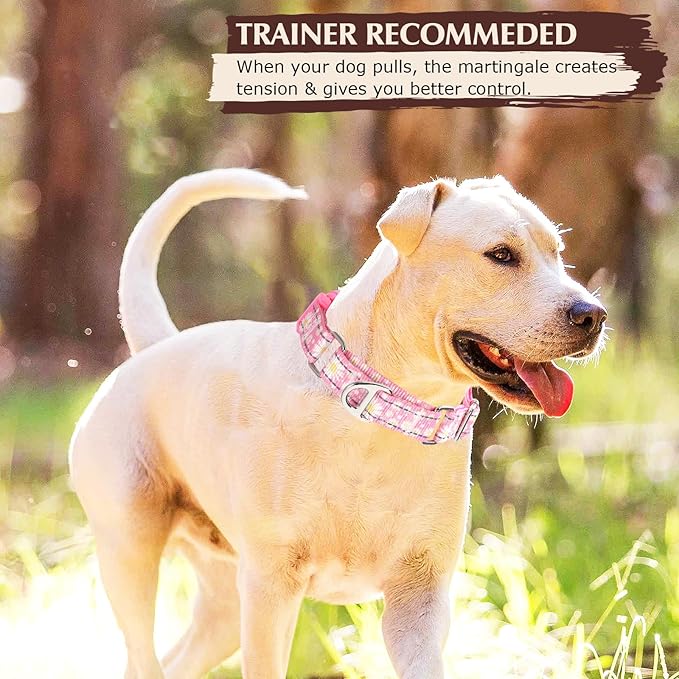 Martingale Collar for Dogs - Pink Daisy Reflective Nylon, No Slip Choke Heavy Duty Collar with Quick Release Buckle & Padded Comfort - Safe Fit for Training & Walking Large