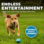 Outward Hound Squeaker Ballz – Squeaky Tennis Balls for Dogs Under 50 lbs, Interactive Dog Toy for Fetch & Training, Medium (2.5"), 4‑Pack