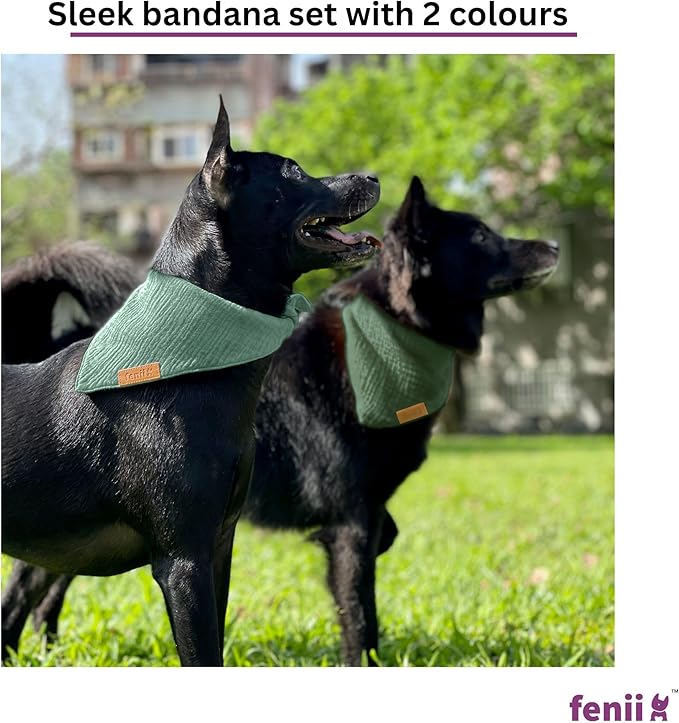 Premium Cotton Dog Bandanas - 2 Pack - Adjustable Fit - Washable - For Small, Medium & Large Breeds - Girl & Boy Dog Accessories - Multiple Sizes (Forest Green & Seafoam Green, Large)