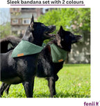 Premium Cotton Dog Bandanas - 2 Pack - Adjustable Fit - Washable - for Small, Medium & Large Breeds - Girl & Boy Dog Accessories - Multiple Sizes (Forest Green & Seafoam Green, X-Large)