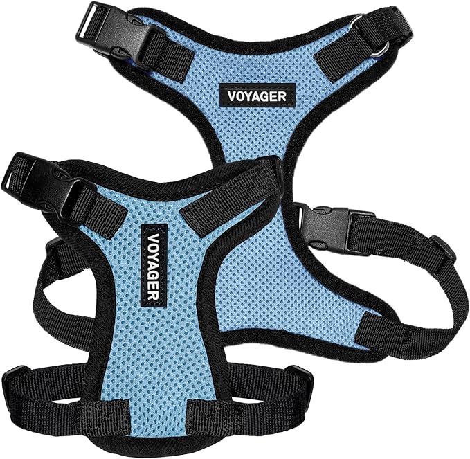 Voyager Step-in Pet Harness - All Weather Mesh, Adjustable Step in Harness for Cats and Dogs by Best Pet Supplies - Baby Blue/Black Trim, XL