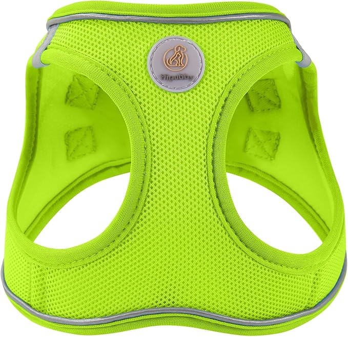 Hipubby Dog Harness and Leash Set, No Pull Soft Mesh Puppy Harness for Small Medium Dogs, Cats - Step in Reflective Breathable Lightweight Vest Harness for Walking, Training - Bright Green, M