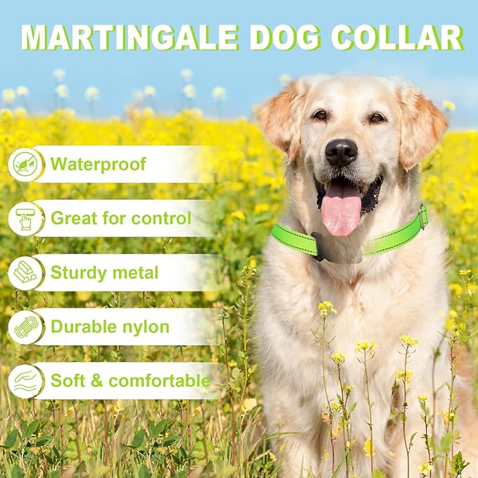 Martingale Collar for Dogs,Reflective Martingale Dog Collars with Quick Release Buckle,Adjustable Nylon No Pull Dog Collar for Walking Training(Azure Blue,Extra Large)