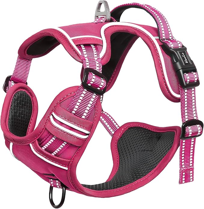 HEELE Dog Harness for Medium Dogs No Pull Dog Vest Harness with Soft Padded Handle Reflective for Outdoor Training, Rose(Matching Trim), M