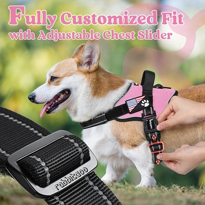 rabbitgoo Dog Harness for Large Dogs, No Pull No Choke Pet Vest, Easy Wearing with One Buckle, Reflective, Adjustable Pet Harness with Molle for Walking, Training, Pink, L
