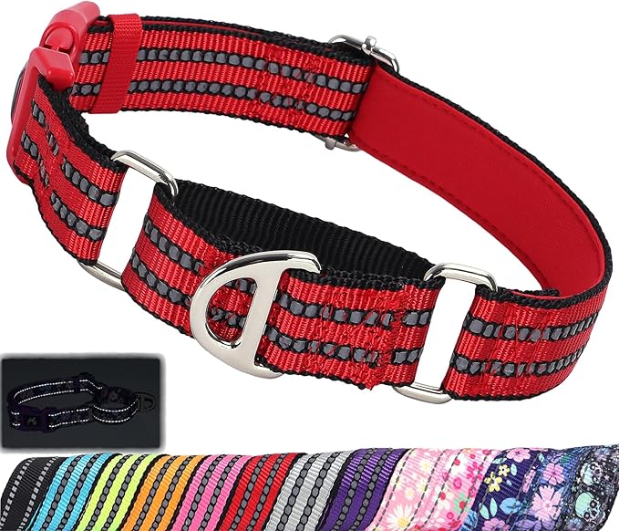 Martingale Collar for Dogs - Reflective Nylon with Padded Comfort & Quick Release Buckle - No Slip Choke Heavy Duty Collar for Safe Training, Walking & Nighttime Use Red S