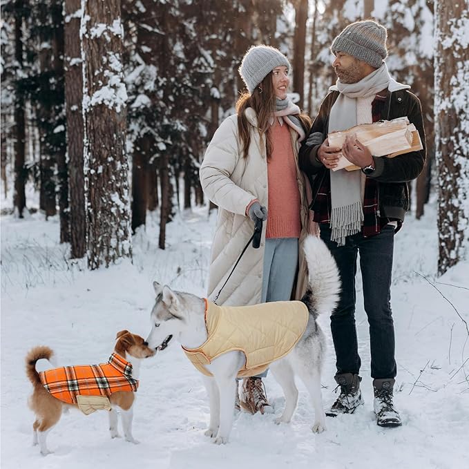 Kuoser Waterproof Dog Coat, Reversible Dog Jacket for Medium Dogs, Adjustable Durable Doggie Winter Coat Warm Puppy Cold Weather Apparel from Small to Large Breed, Orange M