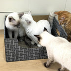 Extra Large Cat Scratch Box Cardboard Cats Scratcher with Bigger Space Double-Sided Scratching Boxes Refillable Pad Easy to Clean Scratchers for Indoor Cats (Grey 3 pcs Pads)