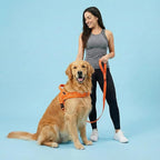 Didog Soft Flannel Padded Dog Vest Harness, No Pull/Quick Fit Reflective Dog Strap Harness, Easy for Training Walking (M:Chest 22-26", Orange)