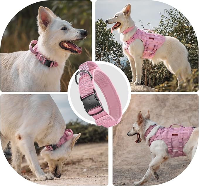 OneTigris Tough Dog Collars, Tactical Dog Collar with Handle, Milltary Adjustable Dog Collar with Heavy Duty Metal Buckle for Training (Medium,Pink)