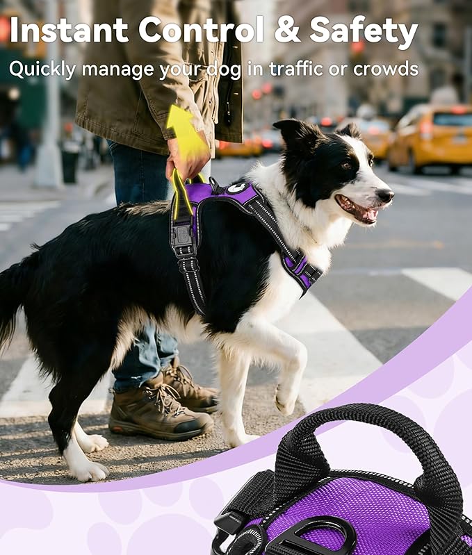 Joytale No Pull Dog Harness for Large Dogs, Reflective Pet Vest with Front Clip, Adjustable Soft Padded Harnesses with Easy Control Handle for Training and Walking, Purple, L
