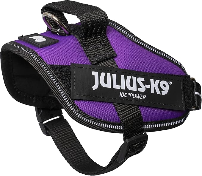 Julius-K9 IDC Powerharness, Size: XS/Mini-Mini, Dark Purple