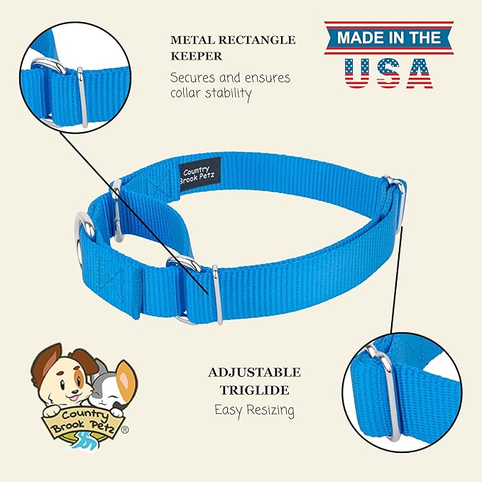Country Brook Petz - Martingale Dog Collar - Heavy-Duty Training Collar with No Buckle - Service Dog Collar for All Pups - 10+ Cool Colors (Ice Blue, 1 Inch, Large)