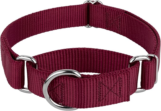Country Brook Petz - Martingale Dog Collar - Heavy-Duty Training Collar with No Buckle - Service Dog Collar for All Pups - 10+ Warm Colors (Burgundy, 1 Inch, Medium)