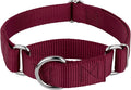 Country Brook Petz - Martingale Dog Collar - Heavy-Duty Training Collar with No Buckle - Service Dog Collar for All Pups - 10+ Warm Colors (Red, 3/8 Inch, 3XS)