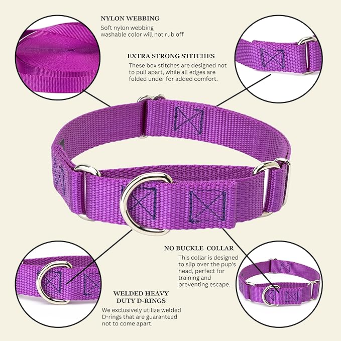 Country Brook Petz - Martingale Dog Collar - Heavy-Duty Training Collar with No Buckle - Service Dog Collar for All Pups - 10+ Cool Colors (Bright Purple, 3/4 Inch, Small)
