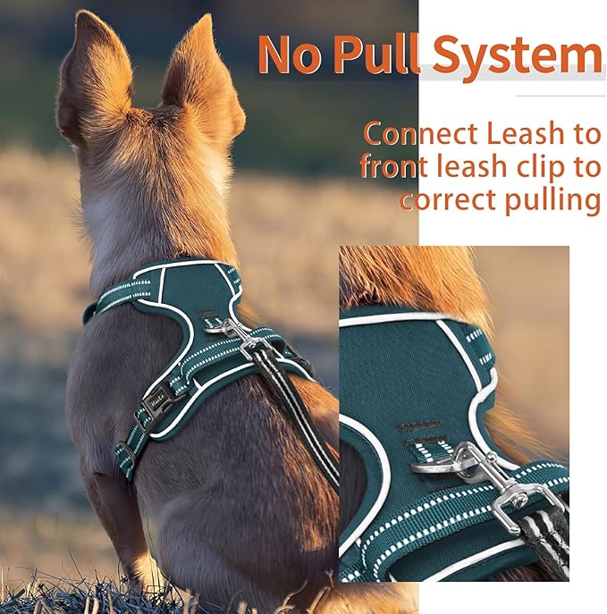HEELE Dog Harness for Large Dogs No Pull Dog Vest Harness for Large Dog with Soft Padded Handle Reflective for Outdoor Training, Blackish Green, XL