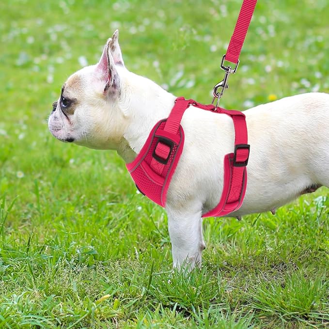 PUPTECK Small Dog Harness and Leash Set, No Pull Adjustable Puppy Cat Harness, Reflective Soft Mesh Pet Vest Small Sized, Fuchsia, S