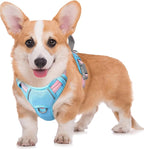 BARKBAY No Pull Dog Harness Large Reflective Dog Harness with Front Clip and Easy Control Handle for Walking Training Running with ID tag Pocket(Baby Blue & Baby Pink,M)