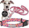 Lucky Love Dog - Easy Click Buckle Dog Collar with Leash Set Combo, Durable & Comfortable for Male & Female Dogs, Pet Collar for Medium Dogs, Secure Fit - Floral Rosie Combo, Medium