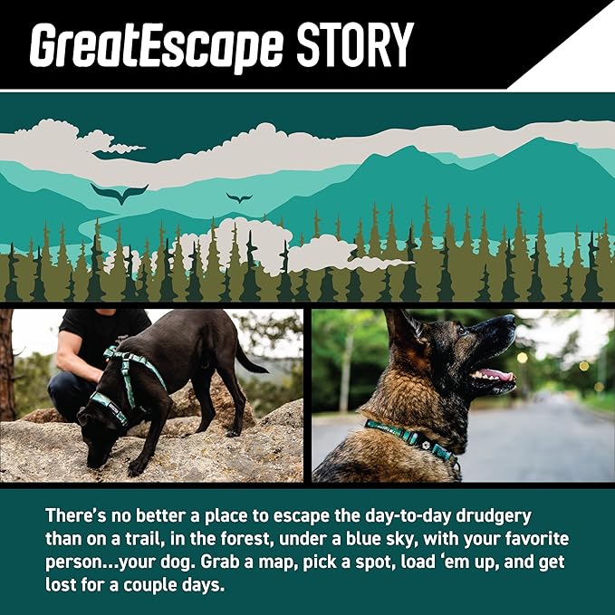 Wolfgang Heavy Duty, Adjustable Dog Collar with Quick Release Nylon Buckle for Walking & Training, GreatEscape Print, Large