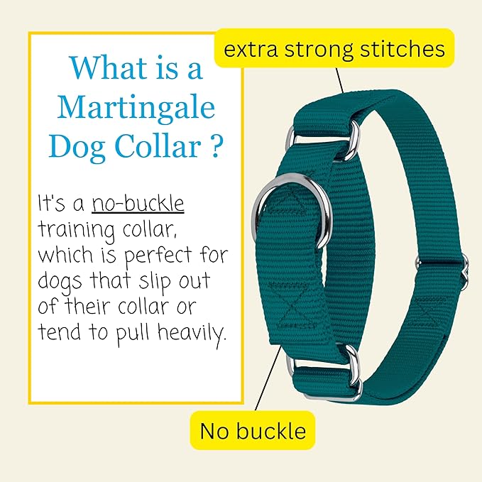 Country Brook Petz - Martingale Dog Collar - Heavy-Duty Training Collar with No Buckle - Service Dog Collar for All Pups - 10+ Cool Colors (Teal, 1 Inch, Extra Large)