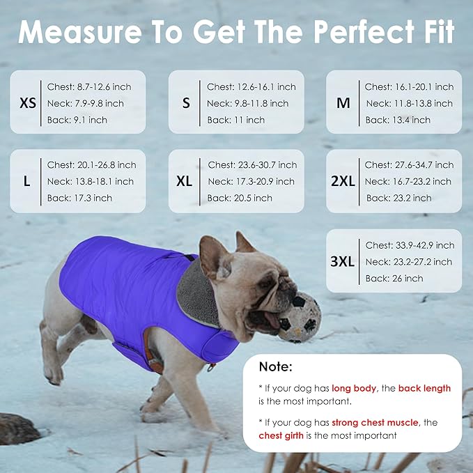 Dog Winter Coat, Waterproof Dog Jacket with Leash Hole, Reflective Adjustable Pet Snow Vest, Warm Fleece Sweater for Small Medium Large Dogs - Blue, 2XL
