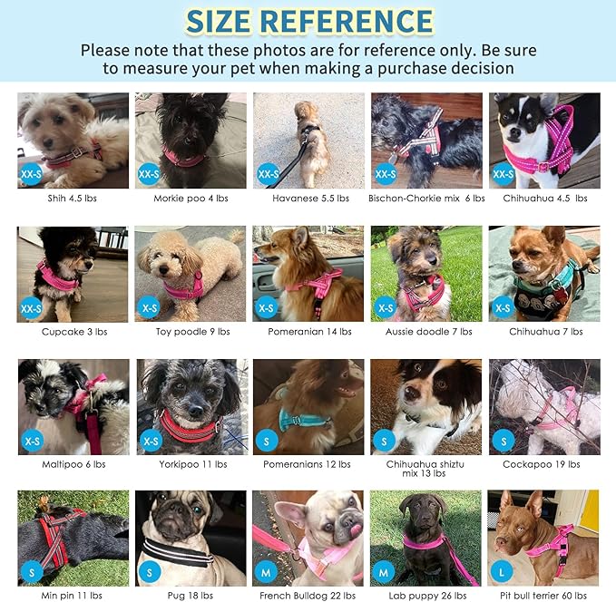 SlowTon No Pull Small Dog Harness and Leash Set, Puppy Soft Vest Harness Neck & Chest Adjustable, Reflective Lightweight Harness & Anti-Twist Pet Lead Combo for Small Medium Dogs (Black, XS)