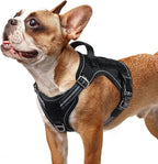 rabbitgoo Dog Harness Small Sized No Pull, Tactical Service Pet Vest with Molle and Control Handle, Adjustable and Reflective Military Harness for Easy Walking and Training, Black, S