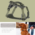 TUG Grab Dog Harness | Integrated Traffic Leash Magnetically Attached for Quick Control (Medium/Green)