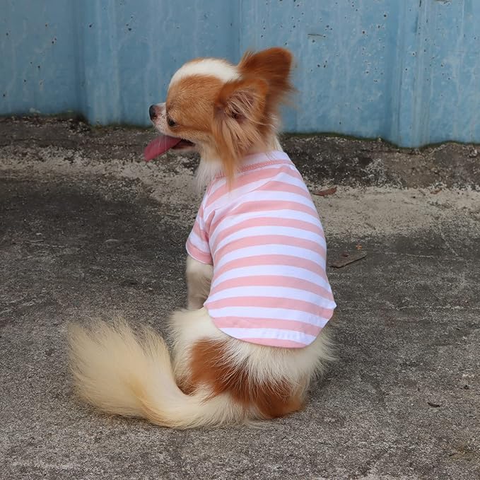 LOPHIPETS 100% Breathable Cotton Striped Dog Tee Shirt T-Shirt for Small Dogs Chihuahua Puppy Clothes -Pink and White Strips/M