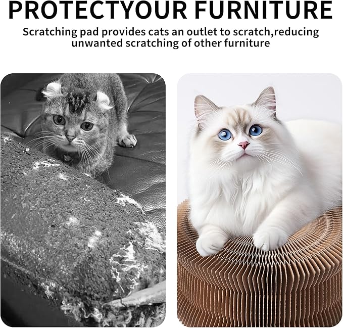 Magic Organ Cat Scratcher Board Cat Ball Adventure The Ultimate Interactive Mental Physical Exercise for Indoor Cats Toy (White and Black, 1PCS)