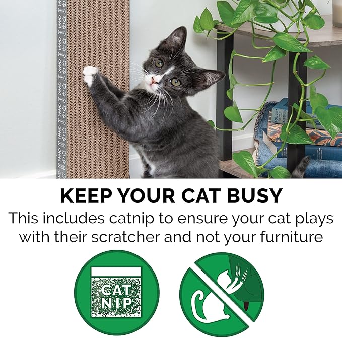 Furhaven 2-Pack Scratching Boards w/ Catnip & Wall-Mounting Hooks for Indoor Cats, Reversible - Wall-Mounted Corrugated Cat Scratchers - Seaglass, Standard/2-Pack