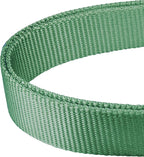 Mikivery Martingale Dog Collar Nylon Adjustable and Safety Training Colourful Comfortable Metal Buckle Pet Collars for Small Medium and Large Dogs(Emerald,M)