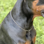 Dog P Snake Chain Chrome Plated Metal Dog Training Choke/Collar-Fully Guaranteed Against Rust Tarnish or Breakage-Recommended for Professional Training (Sliver, 5mm * 26")