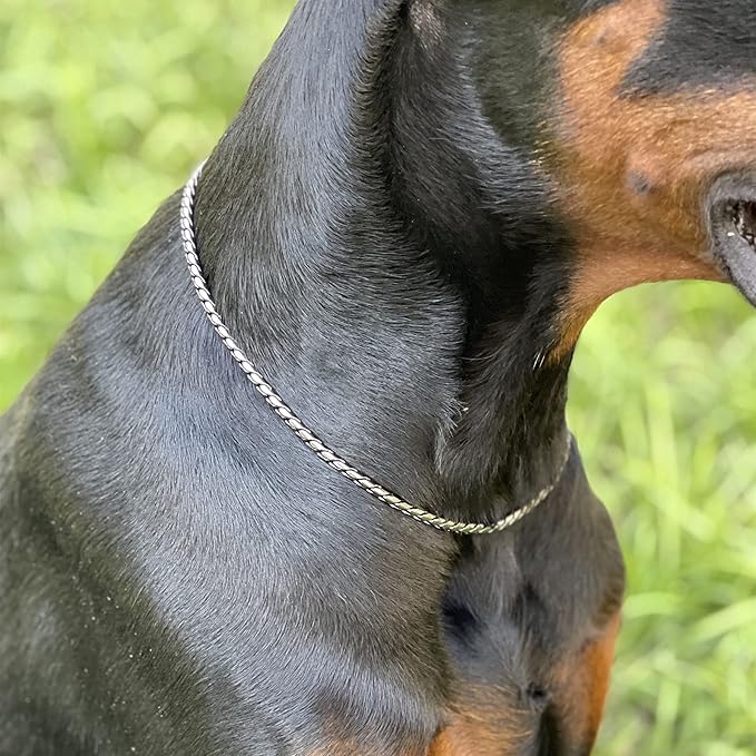 Dog P Snake Chain Chrome Plated Metal Dog Training Choke/Collar-Fully Guaranteed Against Rust Tarnish or Breakage-Recommended for Professional Training (Sliver, 5mm * 26")