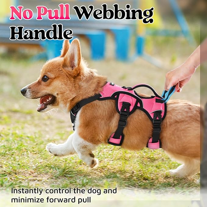 rabbitgoo Escape Proof Dog Harness, Soft Padded Full Body Pet Harness, Reflective Adjustable No Pull Vest with Lift Handle and Leash Clip for Large Dogs Walking Hiking Training, S, Pink