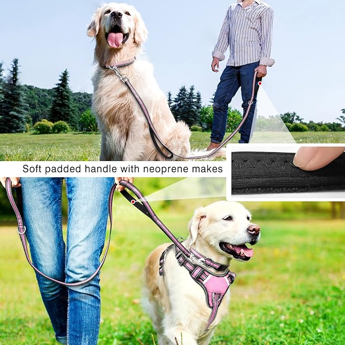 WINSEE Pet Harness Collar and Leash Set, All-in-one Reflective Dog Harness No Pull with Adjustable Buckles for Puppies, Small, Medium, Large, and Extra-Large Dogs (Small, Pink)
