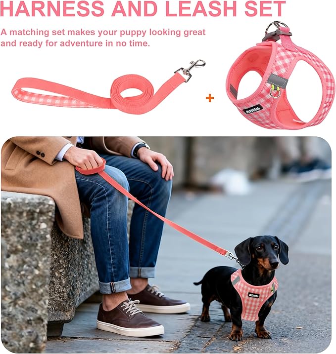 AIITLE Small Dog Harness and Leash Set, Step in No Pull Pet Harness, Soft Mesh Reflective Plaid Vest Harnesses for Small Dogs Puppy and House Cats Outdoor Walking Running Watermelon XS
