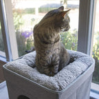 Kitty City Large Stackable Cat Condo & Cube House, Modular Indoor Cat Furniture with Plush Washable Beds, Collapsible Cat Cave & Lounging Ottoman, Grey