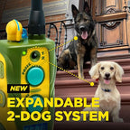 Dogtra E-Collar Tom Davis 280C 2.0 [2025 Edition], Boost & Lock, Waterproof, 1/2-Mile Range Dog Training Collar with Remote, Rechargeable, 127 Levels, Vibration, Bungee, No Bad Dogs Trainers