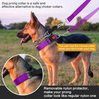Generic Dog Prong Training Collar with Nylon Cover Comfort Tips and Quick Release Snap Buckle, Dog Classic Collar and Dog Leash for Small, Medium, Large Dogs