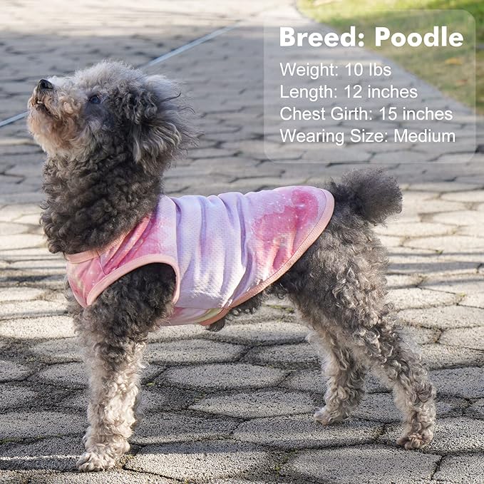 cyeollo 2pack Dog Cooling Shirt, Breathable Sleeveless Summer Clothes for Dogs, Intant Cool T Shirts for Small Dogs, Pink L